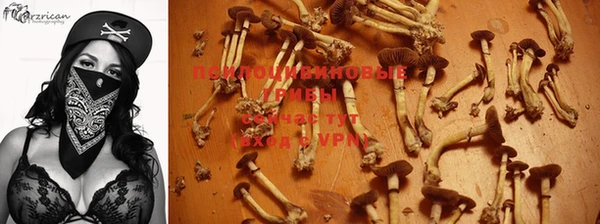 соль курить ск Медногорск