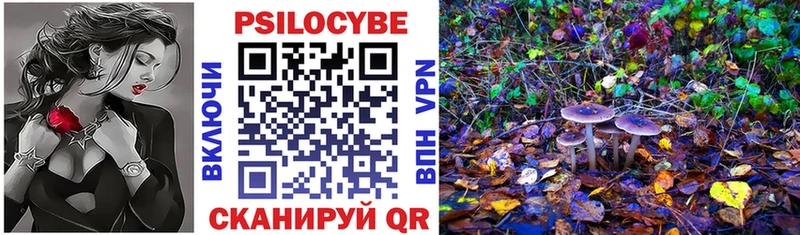 Псилоцибиновые грибы мицелий  купить   Кондрово 